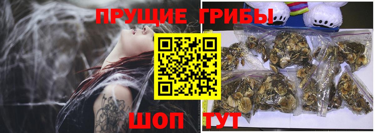 Псилоцибиновые грибы Psilocybine cubensis Верхняя Салда